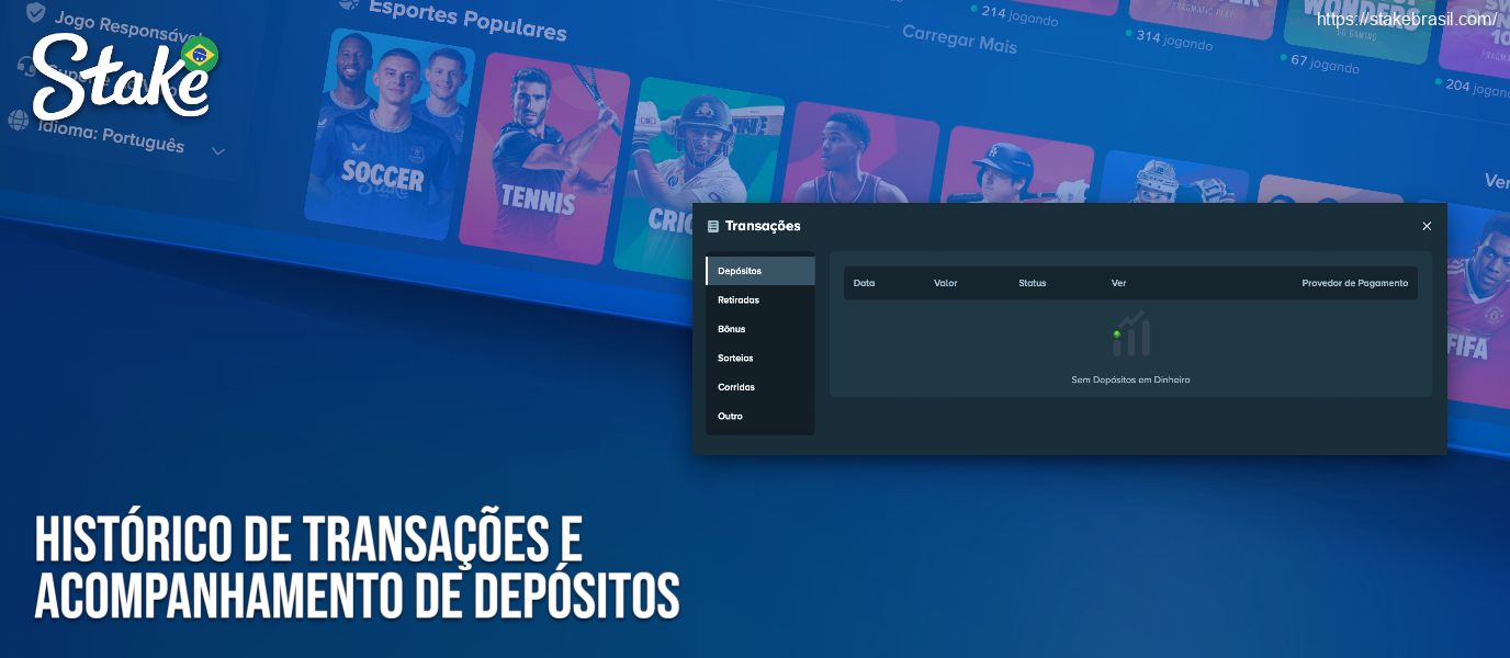 Histórico de Transações e Acompanhamento de Depósitos Stake