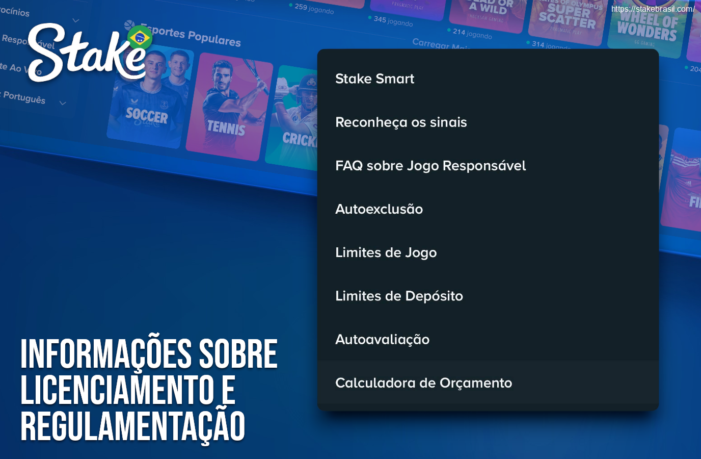 Informações sobre Licenciamento e Regulamentação Stake Cassino