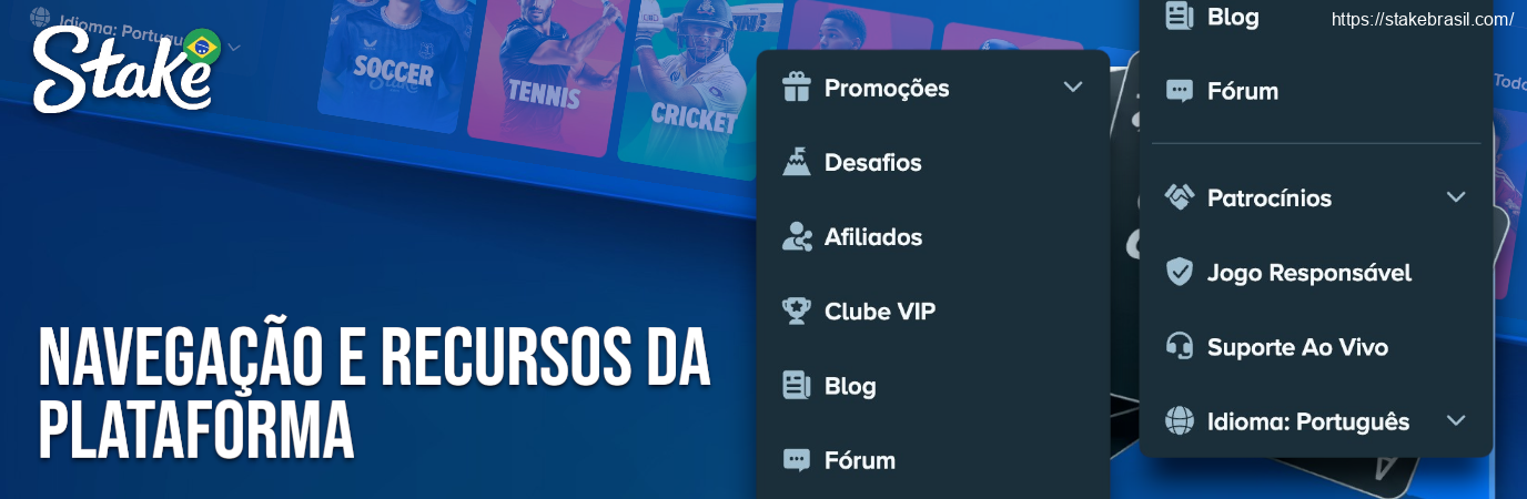 Navegação e Recursos da Plataforma Stake