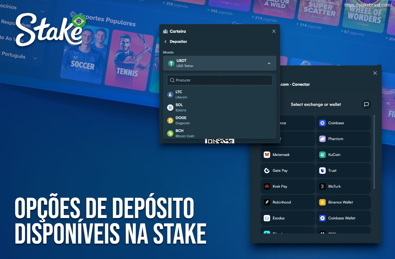 Opções de Depósito Disponíveis na Stake