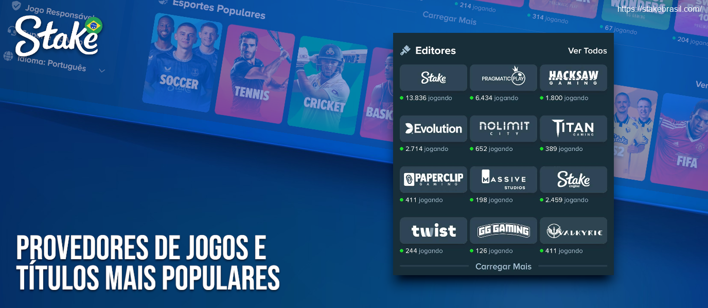 Provedores de Jogos e Títulos Mais Populares Stake Casino