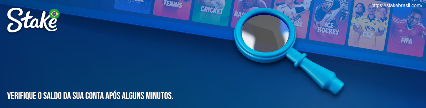 Verifique o saldo da sua conta após alguns minutos Stake